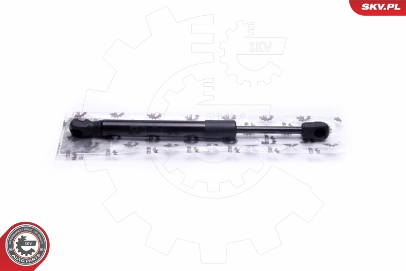 Gas Spring, boot/cargo area